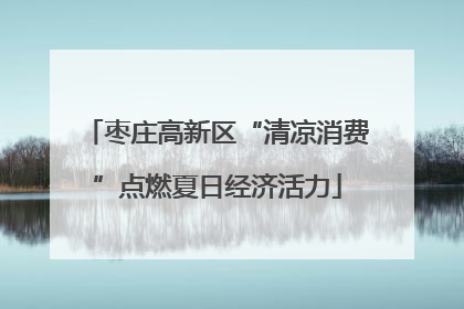 枣庄高新区“清凉消费”点燃夏日经济活力