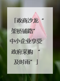 政商沙龙“架桥铺路” 中小企业享受政府采购 “及时雨”