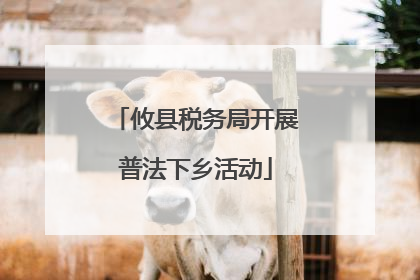 攸县税务局开展普法下乡活动