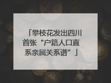 攀枝花发出四川首张“户籍人口直系亲属关系谱”