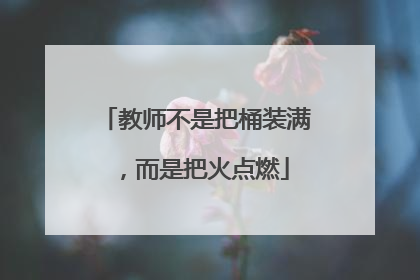 教师不是把桶装满，而是把火点燃
