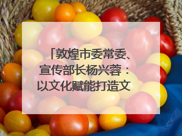 敦煌市委常委、宣传部长杨兴蓉：以文化赋能打造文旅增效新引擎｜第七届全国县域旅游研究成果发布系列活动