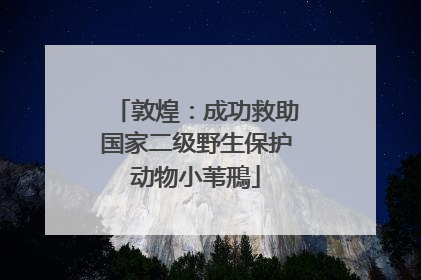敦煌：成功救助国家二级野生保护动物小苇鳽
