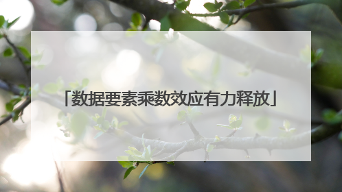 数据要素乘数效应有力释放