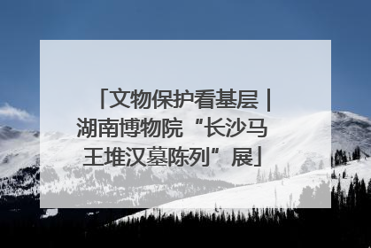 文物保护看基层｜湖南博物院“长沙马王堆汉墓陈列”展