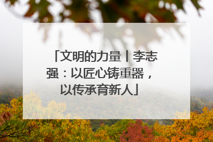 文明的力量丨李志强：以匠心铸重器，以传承育新人