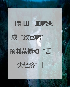 新田：血鸭变成“致富鸭” 预制菜撬动“舌尖经济”