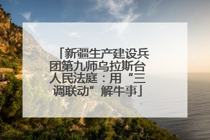新疆生产建设兵团第九师乌拉斯台人民法庭：用“三调联动”解牛事