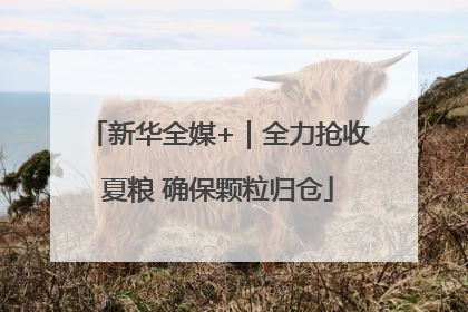 新华全媒+｜全力抢收夏粮 确保颗粒归仓