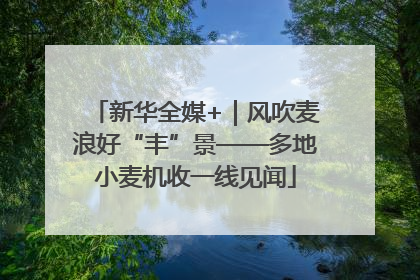 新华全媒+｜风吹麦浪好“丰”景——多地小麦机收一线见闻