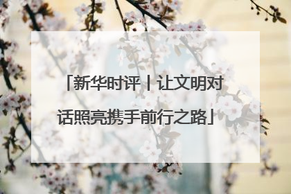 新华时评丨让文明对话照亮携手前行之路