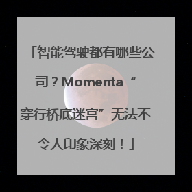 智能驾驶都有哪些公司？Momenta“穿行桥底迷宫”无法不令人印象深刻！