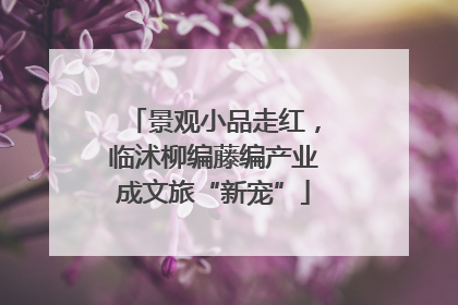 景观小品走红，临沭柳编藤编产业成文旅“新宠”