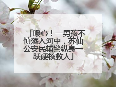 暖心！一男孩不慎落入河中，苏仙公安民辅警纵身一跃硬核救人
