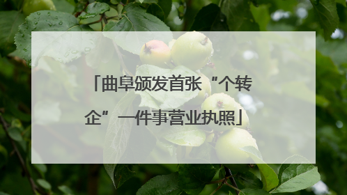 曲阜颁发首张“个转企”一件事营业执照