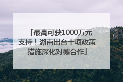 最高可获1000万元支持！湖南出台十项政策措施深化对德合作