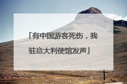 有中国游客死伤，我驻意大利使馆发声