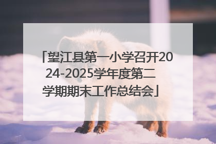望江县第一小学召开2024-2025学年度第二学期期末工作总结会