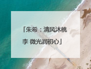 朱希：清风沐桃李 微光润初心