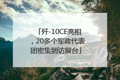 歼-10CE亮相，20多个军政代表团密集到访展台