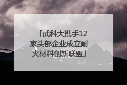 武科大携手12家头部企业成立耐火材料创新联盟