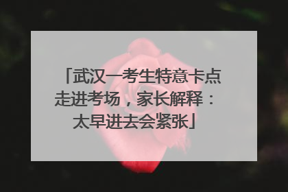 武汉一考生特意卡点走进考场，家长解释：太早进去会紧张