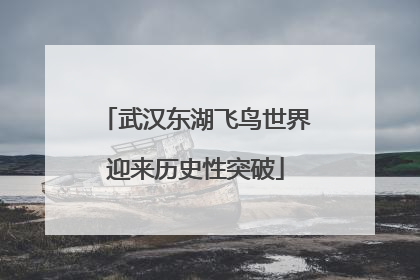武汉东湖飞鸟世界迎来历史性突破