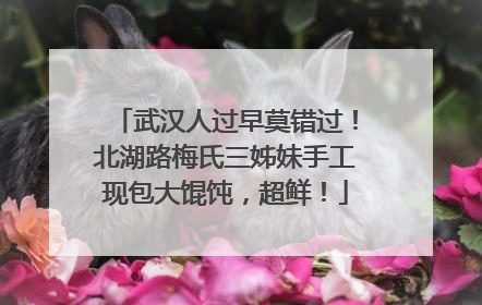 武汉人过早莫错过！北湖路梅氏三姊妹手工现包大馄饨，超鲜！