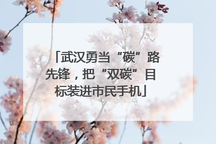 武汉勇当“碳”路先锋，把“双碳”目标装进市民手机
