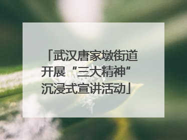 武汉唐家墩街道开展“三大精神”沉浸式宣讲活动