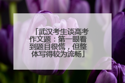 武汉考生谈高考作文题：第一眼看到题目很慌，但整体写得较为流畅