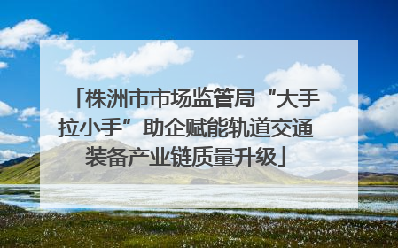 株洲市市场监管局“大手拉小手”助企赋能轨道交通装备产业链质量升级