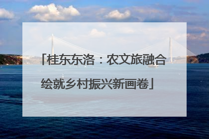 桂东东洛：农文旅融合绘就乡村振兴新画卷