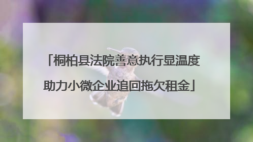 桐柏县法院善意执行显温度 助力小微企业追回拖欠租金