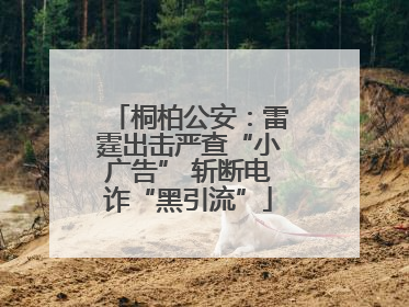 桐柏公安：雷霆出击严查“小广告” 斩断电诈“黑引流”
