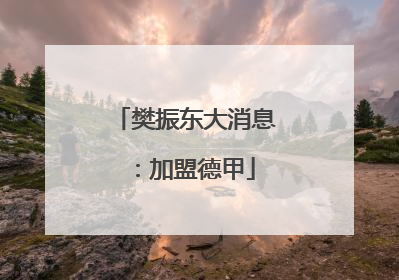 樊振东大消息：加盟德甲