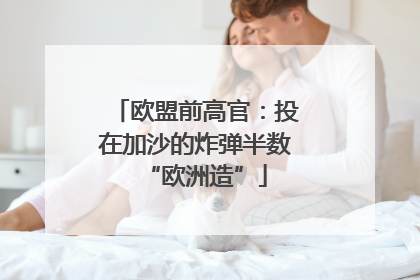 欧盟前高官：投在加沙的炸弹半数“欧洲造”