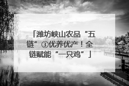 潍坊峡山农品“五链”③优养优产！全链赋能“一只鸡”