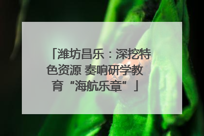 潍坊昌乐：深挖特色资源 奏响研学教育“海航乐章”