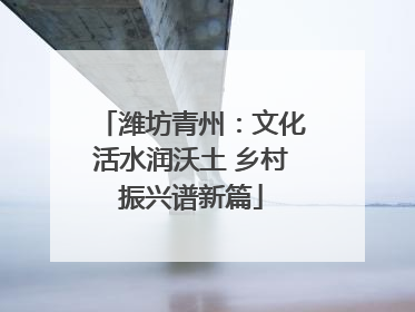 潍坊青州：文化活水润沃土 乡村振兴谱新篇