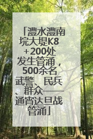 澧水澧南垸大堤K8+200处发生管涌，500余名武警、民兵、群众——通宵达旦战管涌