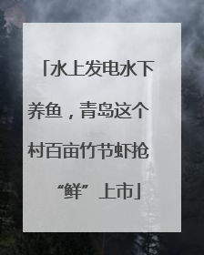 水上发电水下养鱼，青岛这个村百亩竹节虾抢“鲜”上市