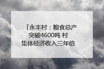 永丰村：粮食总产突破4600吨 村集体经济收入三年倍增｜牵挂的村