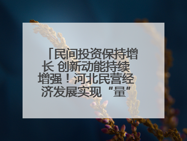 民间投资保持增长 创新动能持续增强！河北民营经济发展实现“量”“质”双提升