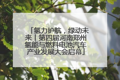 氢力护航，绿动未来丨第四届河南郑州氢能与燃料电池汽车产业发展大会启幕