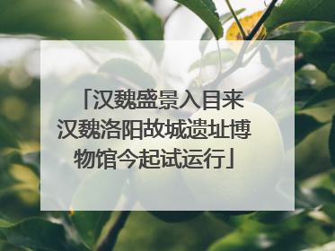 汉魏盛景入目来 汉魏洛阳故城遗址博物馆今起试运行