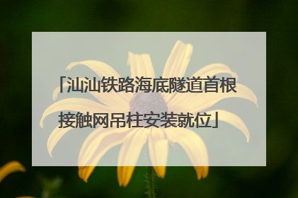 汕汕铁路海底隧道首根接触网吊柱安装就位