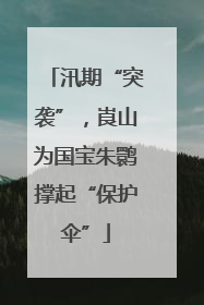 汛期“突袭”，崀山为国宝朱鹮撑起“保护伞”