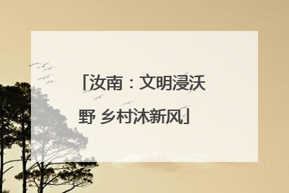 汝南：文明浸沃野 乡村沐新风