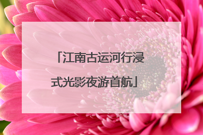 江南古运河行浸式光影夜游首航